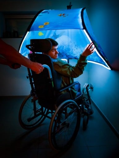 Snoezle, rolstoelgebruiker